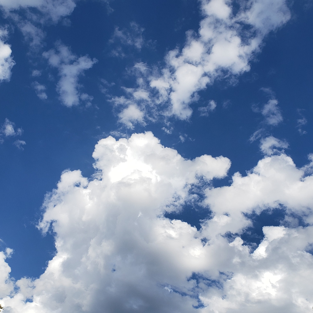 Meet your Posher, Nairy